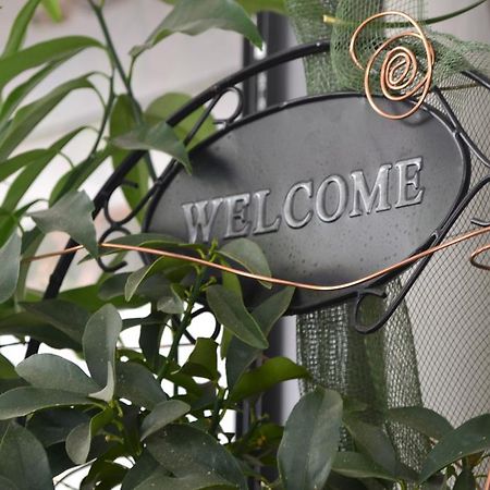 Hotel Alfredo'S Rimini Exterior foto